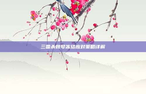 三国杀账号冻结应对策略详解