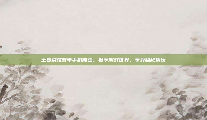 王者荣耀安卓手机体验,畅享游戏世界,享受极致娱乐