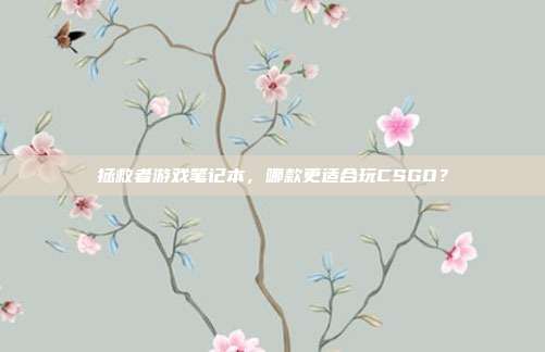 拯救者游戏笔记本,哪款更适合玩CSGO?