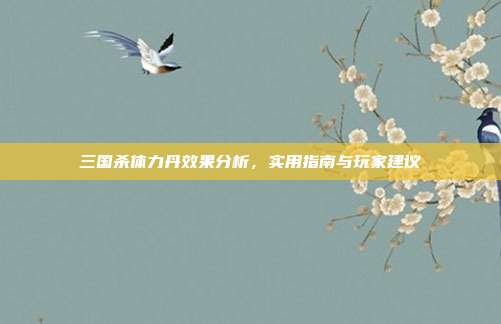 三国杀体力丹效果分析,实用指南与玩家建议