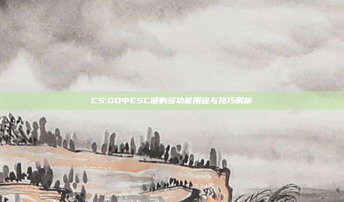 CS:GO中ESC键的多功能用途与技巧解析