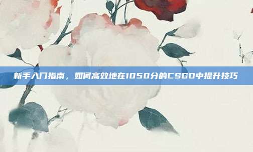 新手入门指南,如何高效地在1050分的CSGO中提升技巧