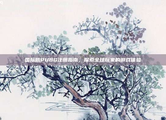 国际版PUBG注册指南，探索全球玩家的游戏体验