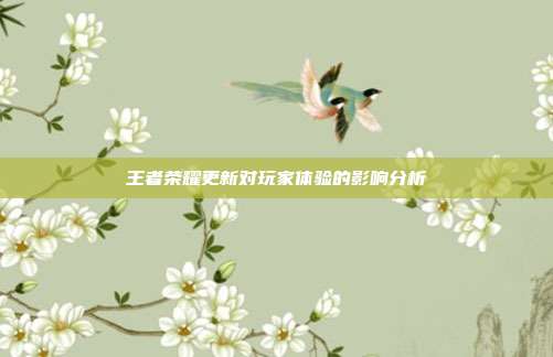 王者荣耀更新对玩家体验的影响分析