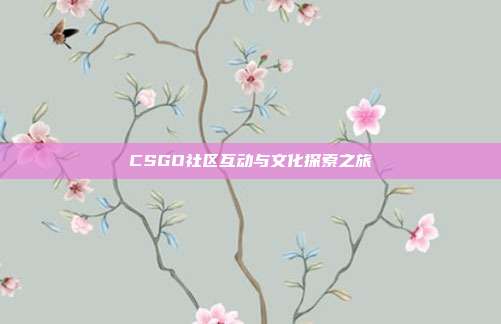 CSGO社区互动与文化探索之旅