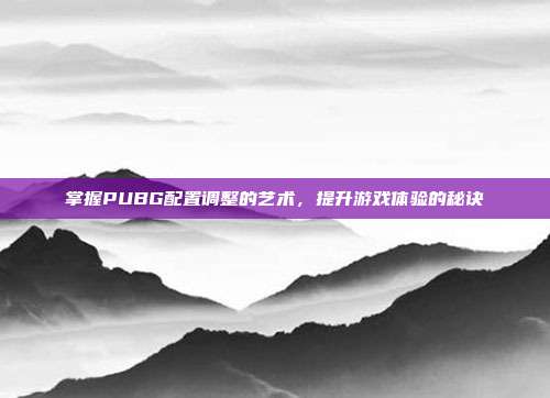 掌握PUBG配置调整的艺术,提升游戏体验的秘诀