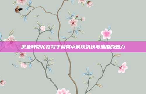 黑色特斯拉在和平精英中展现科技与速度的魅力