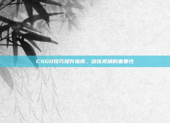 CSGO技巧提升指南,训练视角的重要性