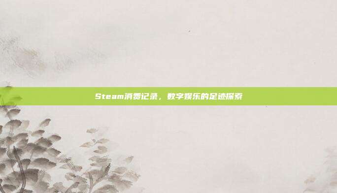 Steam消费记录,数字娱乐的足迹探索