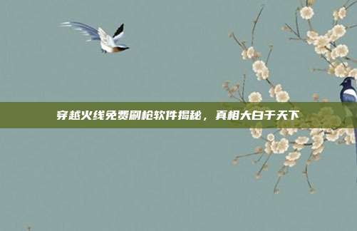 穿越火线免费刷枪软件揭秘,真相大白于天下