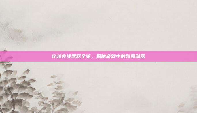 穿越火线武器全览,揭秘游戏中的致命利器