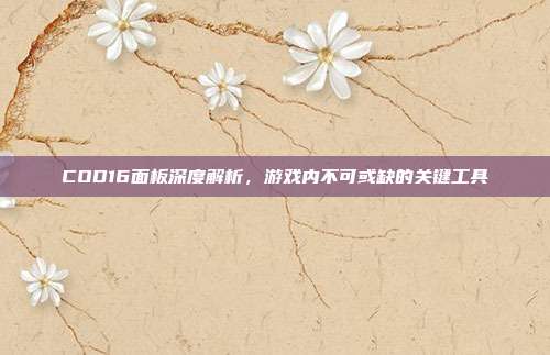 COD16面板深度解析,游戏内不可或缺的关键工具