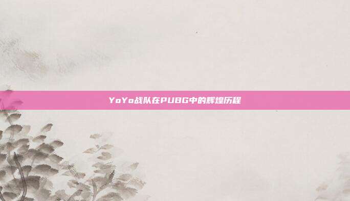 YoYo战队在PUBG中的辉煌历程