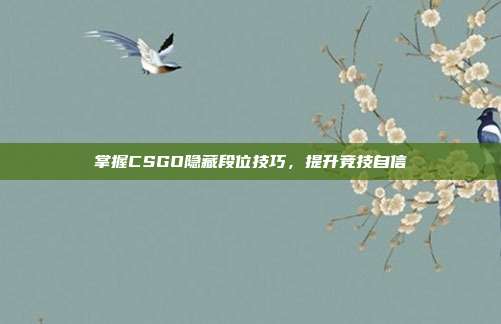 掌握CSGO隐藏段位技巧,提升竞技自信