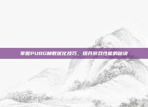 掌握PUBG帧数优化技巧,提升游戏性能的秘诀
