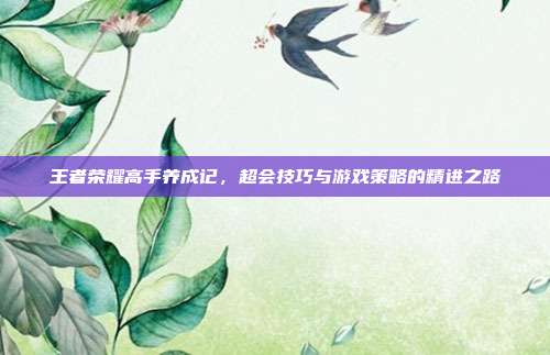 王者荣耀高手养成记,超会技巧与游戏策略的精进之路