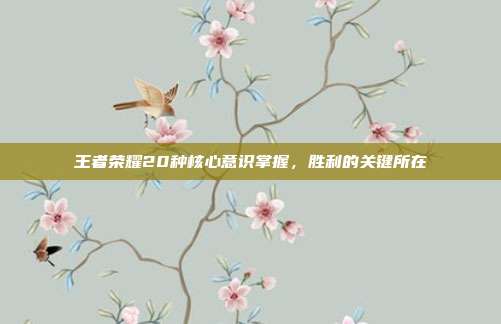 王者荣耀20种核心意识掌握,胜利的关键所在