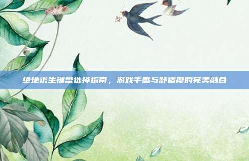 绝地求生键盘选择指南,游戏手感与舒适度的完美融合