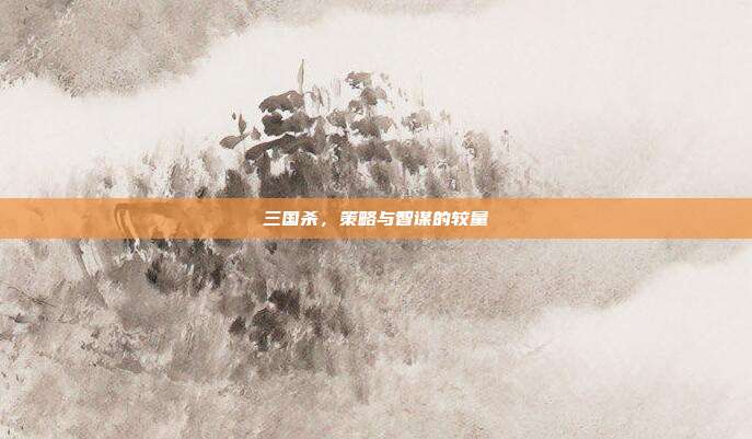 三国杀,策略与智谋的较量