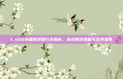CSGO水箱喷涂技巧全解析,高效喷涂策略与实践指南