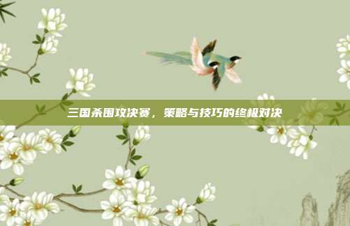 三国杀围攻决赛,策略与技巧的终极对决