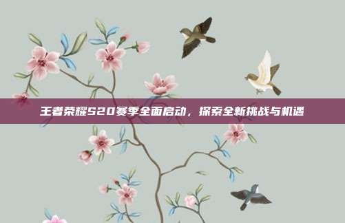 王者荣耀S20赛季全面启动,探索全新挑战与机遇