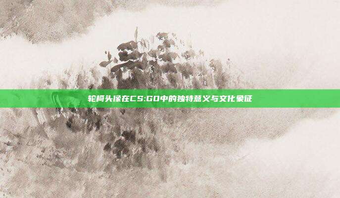轮椅头像在CS:GO中的独特意义与文化象征