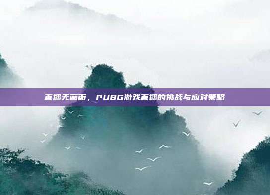 直播无画面,PUBG游戏直播的挑战与应对策略