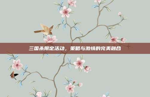三国杀限定活动,策略与激情的完美融合