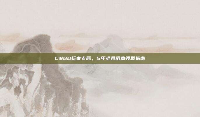 CSGO玩家专属,5年老兵徽章领取指南