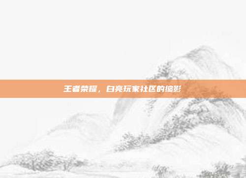 王者荣耀,白亮玩家社区的缩影