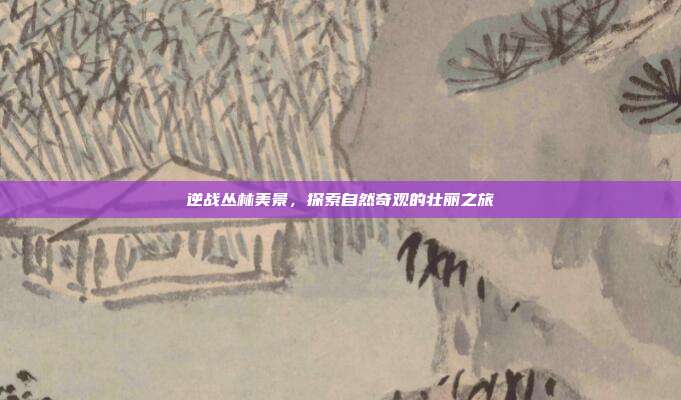 逆战丛林美景,探索自然奇观的壮丽之旅