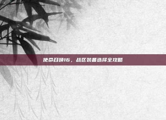 使命召唤16,战区装备选择全攻略