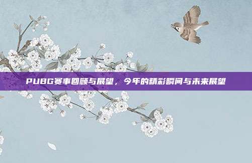 PUBG赛事回顾与展望,今年的精彩瞬间与未来展望