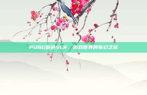 PUBG粉色SLR,游戏世界的奇幻之旅