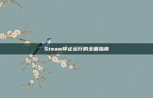 Steam停止运行的全面指南
