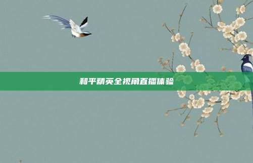 和平精英全视角直播体验