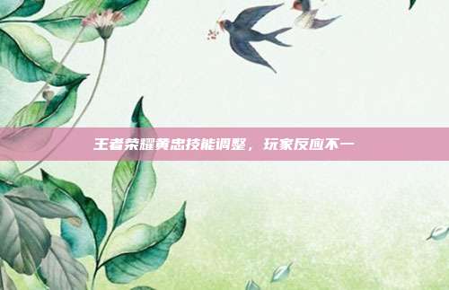 王者荣耀黄忠技能调整,玩家反应不一