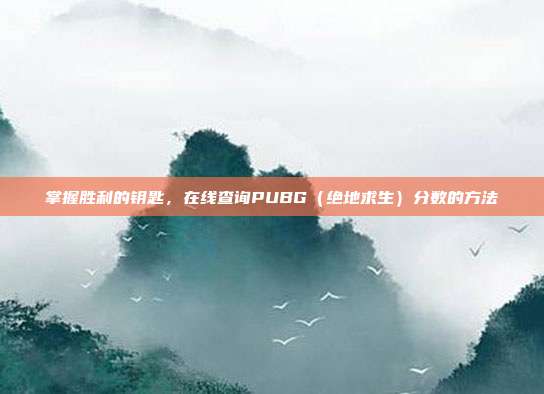 掌握胜利的钥匙,在线查询PUBG(绝地求生)分数的方法