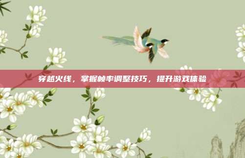穿越火线,掌握帧率调整技巧,提升游戏体验