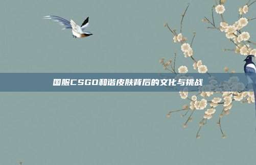 国服CSGO和谐皮肤背后的文化与挑战