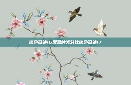 使命召唤16武器种类对比使命召唤17