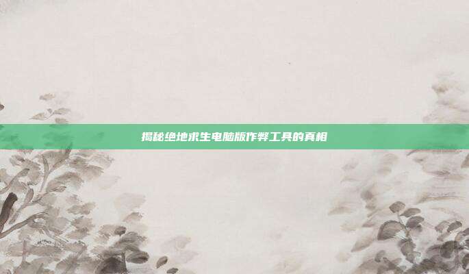 揭秘绝地求生电脑版作弊工具的真相