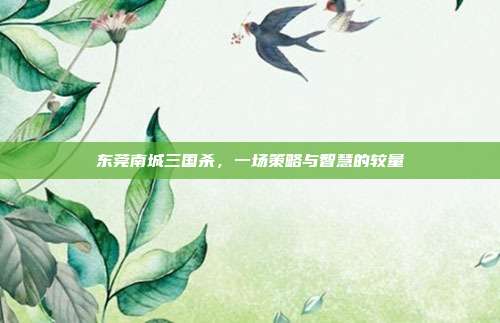 东莞南城三国杀,一场策略与智慧的较量