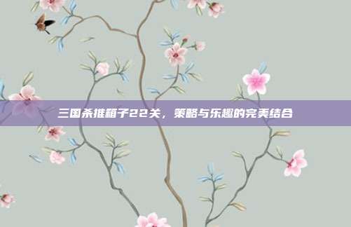 三国杀推箱子22关,策略与乐趣的完美结合