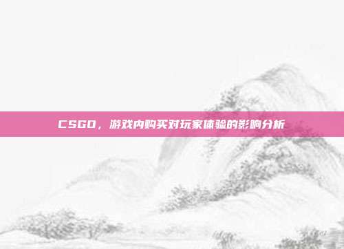 CSGO,游戏内购买对玩家体验的影响分析
