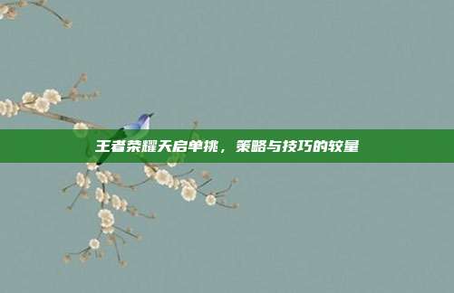 王者荣耀天启单挑,策略与技巧的较量