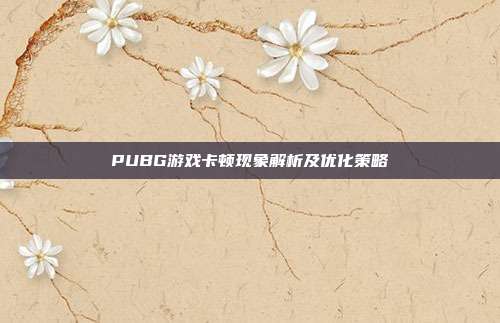 PUBG游戏卡顿现象解析及优化策略