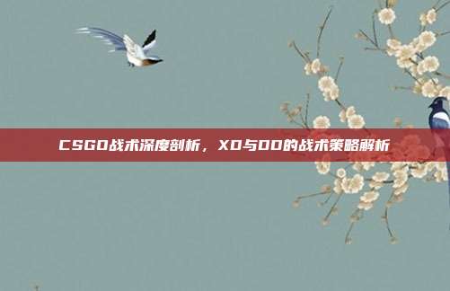 CSGO战术深度剖析,XD与DD的战术策略解析