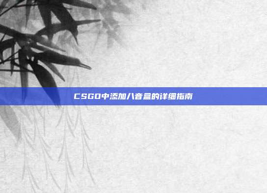 CSGO中添加八音盒的详细指南